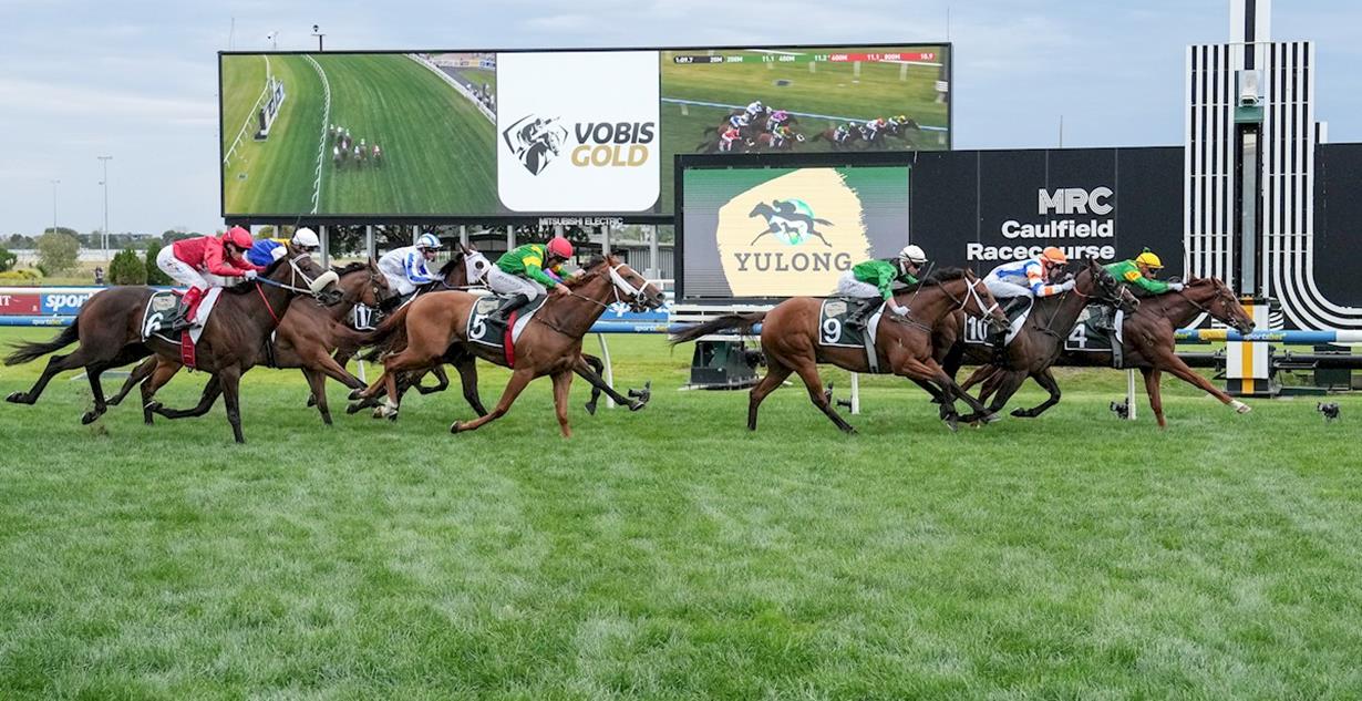 Regal Zeus - Caulfield 15th March 2025